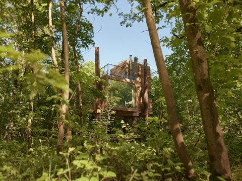 Landal Forest Resort Your Nature  - Camping Hainaut - Image N°43