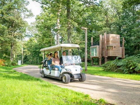 Landal Forest Resort Your Nature  - Camping Hainaut - Image N°49