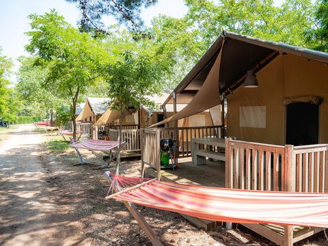 TENTE TOILE ET BOIS 5 personnes - La cambrousse
