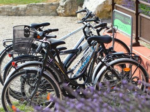 Le Domaine du Lac - Camping Drome - Image N°2