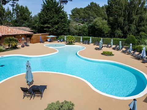  Résidence Les Cottages du Lac - Camping Landes - Image N°4