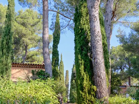 Pierre & Vacances Maeva Le Domaine de Garlande - Camping Var - Image N°7