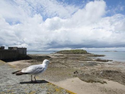 Pierre & Vacances Residence Ty Mat - Camping Ille-et-Vilaine - Image N°24