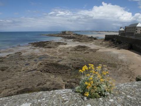 Pierre & Vacances Residence Ty Mat - Camping Ille-et-Vilaine - Image N°25