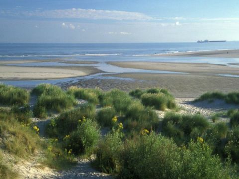 Residence BrayDunes Margats - Camping Nord - Image N°22