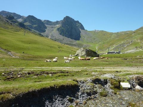 Residence Mer et Golf Tourmalet La Mongie - Camping Hautes-Pyrénées - Image N°7