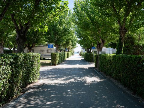 Le Mimose Family Resort - Camping Imperia - Image N°13