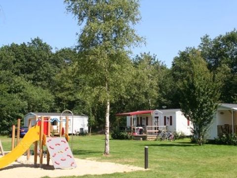 Vakantiepark Het Stoetenslagh - Camping Hardenberg - Image N°6