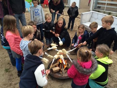 Vakantiepark Het Stoetenslagh - Camping Hardenberg - Image N°46