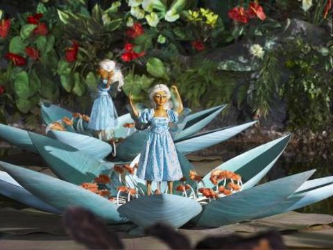 Efteling Bosrijk - Camping Loon op Zand - Image N°16
