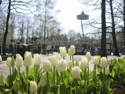 Efteling Bosrijk - Camping Loon op Zand - Image N°25