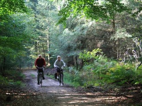 Vrijrijck Heivlinder - Camping Ermelo - Image N°4