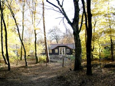 Vrijrijck Heivlinder - Camping Ermelo - Image N°7
