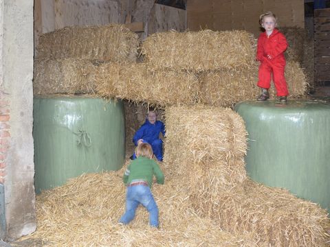 Landrijk de Reesprong - Camping Haaksbergen - Image N°16