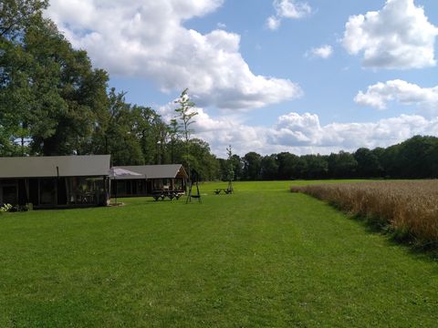 Landrijk de Reesprong - Camping Haaksbergen - Image N°19
