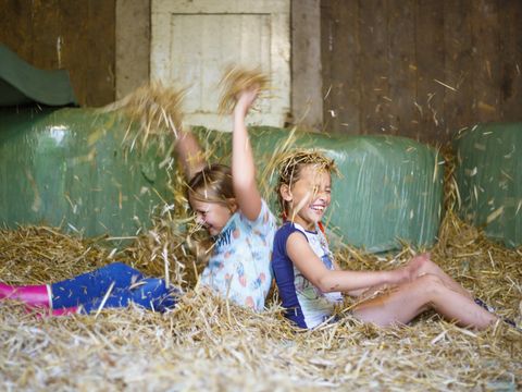 Landrijk de Reesprong - Camping Haaksbergen - Image N°14