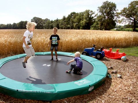 Landrijk de Reesprong - Camping Haaksbergen - Image N°3