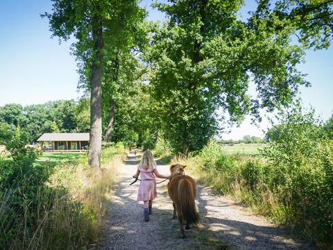Landrijk de Reesprong - Camping Haaksbergen - Image N°20