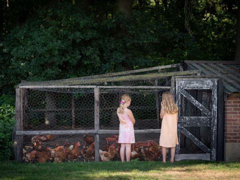 Landrijk de Reesprong - Camping Haaksbergen - Image N°27