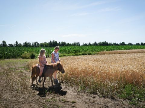 Landrijk de Reesprong - Camping Haaksbergen - Image N°18