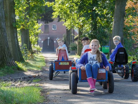 Landrijk de Reesprong - Camping Haaksbergen - Image N°6