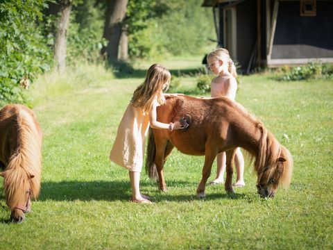Landrijk de Reesprong - Camping Haaksbergen