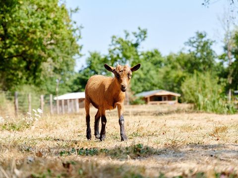 Villatent la Bretonnière - Camping Vendée - Image N°14