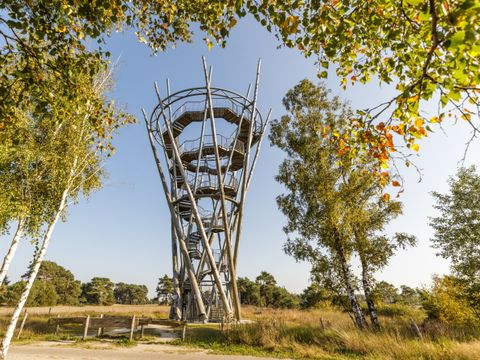 Chaletpark Kempenbos - Camping Hilvarenbeek - Image N°6