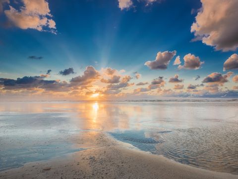 Landal Kaap West - Camping Terschelling - Image N°12