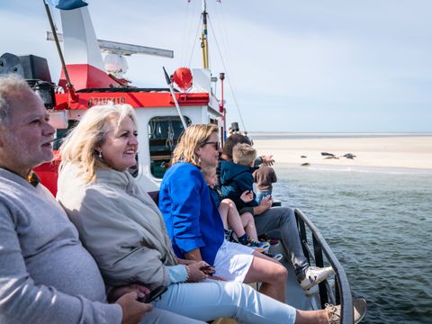 Landal Kaap West - Camping Terschelling - Image N°15