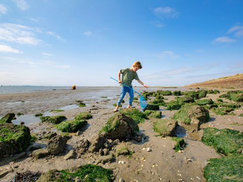 Landal Kaap West - Camping Terschelling - Image N°9