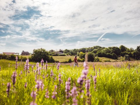 Landal de Waufsberg - Camping Eijsden-Margraten - Image N°35