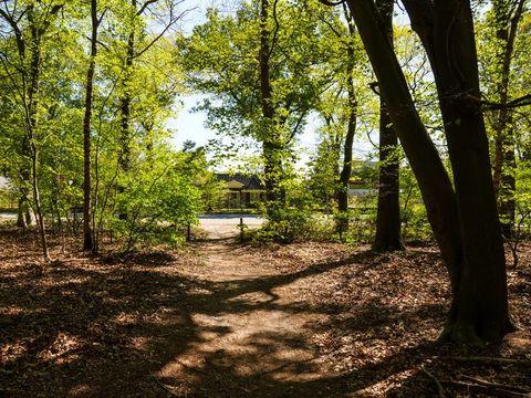 Villatent De IJsvogel - Camping Barneveld - Image N°9