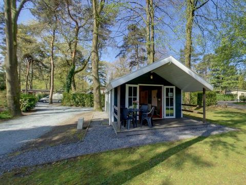 Villatent De IJsvogel - Camping Barneveld - Image N°8