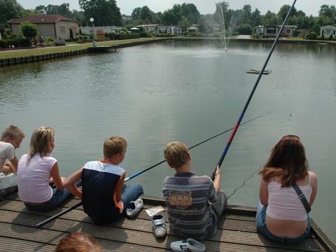Villatent De IJsvogel - Camping Barneveld - Image N°7