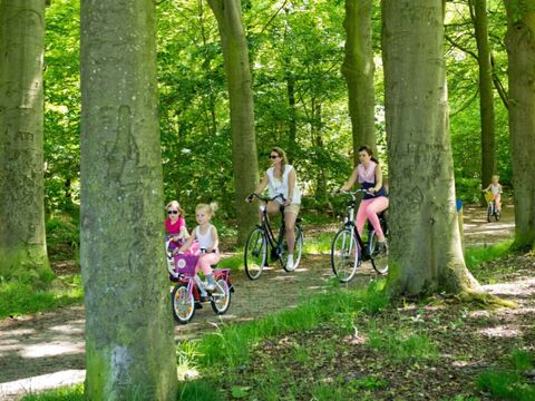 Vodatent Landgoedcamping Nienoord - Camping Westerkwartier - Image N°2