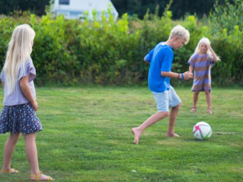 Vodatent Natuurlijk de Veenhoop - Camping Smallingerland - Image N°11