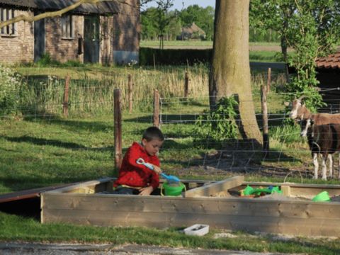 Vodatent Vakantiepark de Toffe Peer - Camping De Wolden - Image N°6