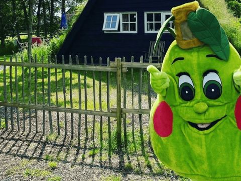Vodatent Vakantiepark de Toffe Peer - Camping De Wolden - Image N°7