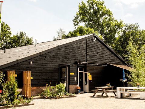 Vodatent Vakantiepark de Toffe Peer - Camping De Wolden - Image N°8