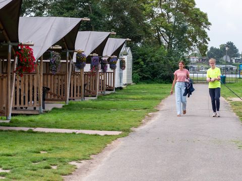 Camping de Krabbeplaat - Camping Brielle - Image N°8