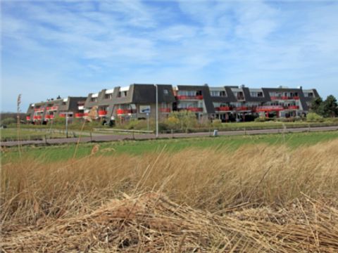 Amelander Paradijs - Camping Ameland - Image N°8