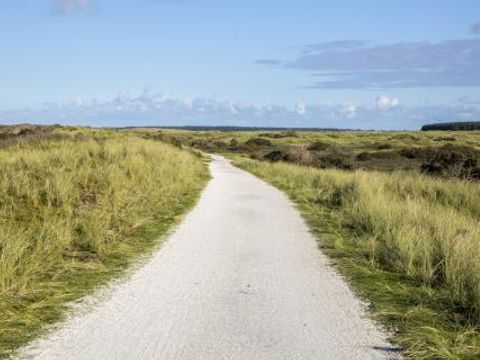 Amelander Paradijs - Camping Ameland - Image N°15