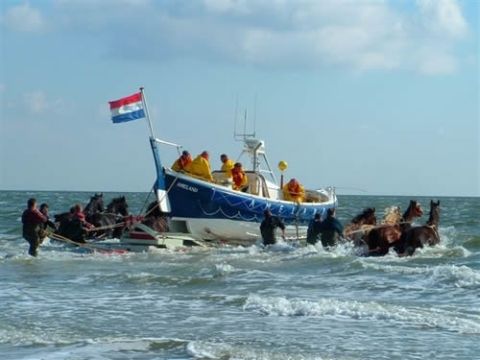 Amelander Paradijs - Camping Ameland - Image N°14