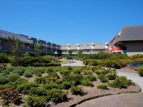 Amelander Paradijs - Camping Ameland - Image N°7