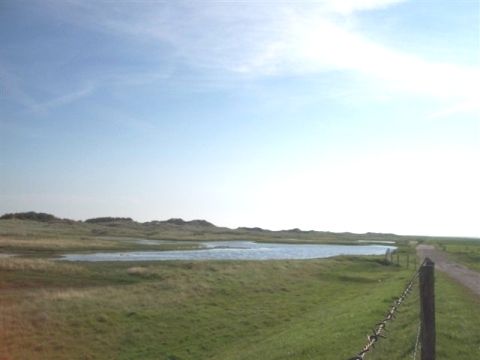 Amelander Paradijs - Camping Ameland - Image N°12