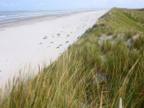 Amelander Paradijs - Camping Ameland - Image N°16