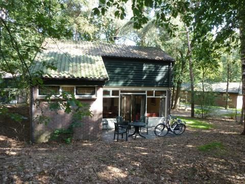 Bospark De Bikkels - Camping Deurne - Image N°22