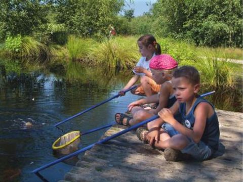 Bospark De Bikkels - Camping Deurne - Image N°8