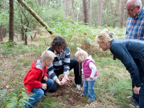 Bospark De Bikkels - Camping Deurne - Image N°7